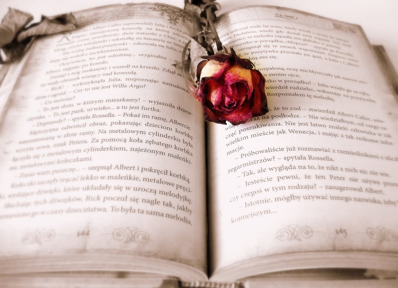 The Time Traveler's Wife Book